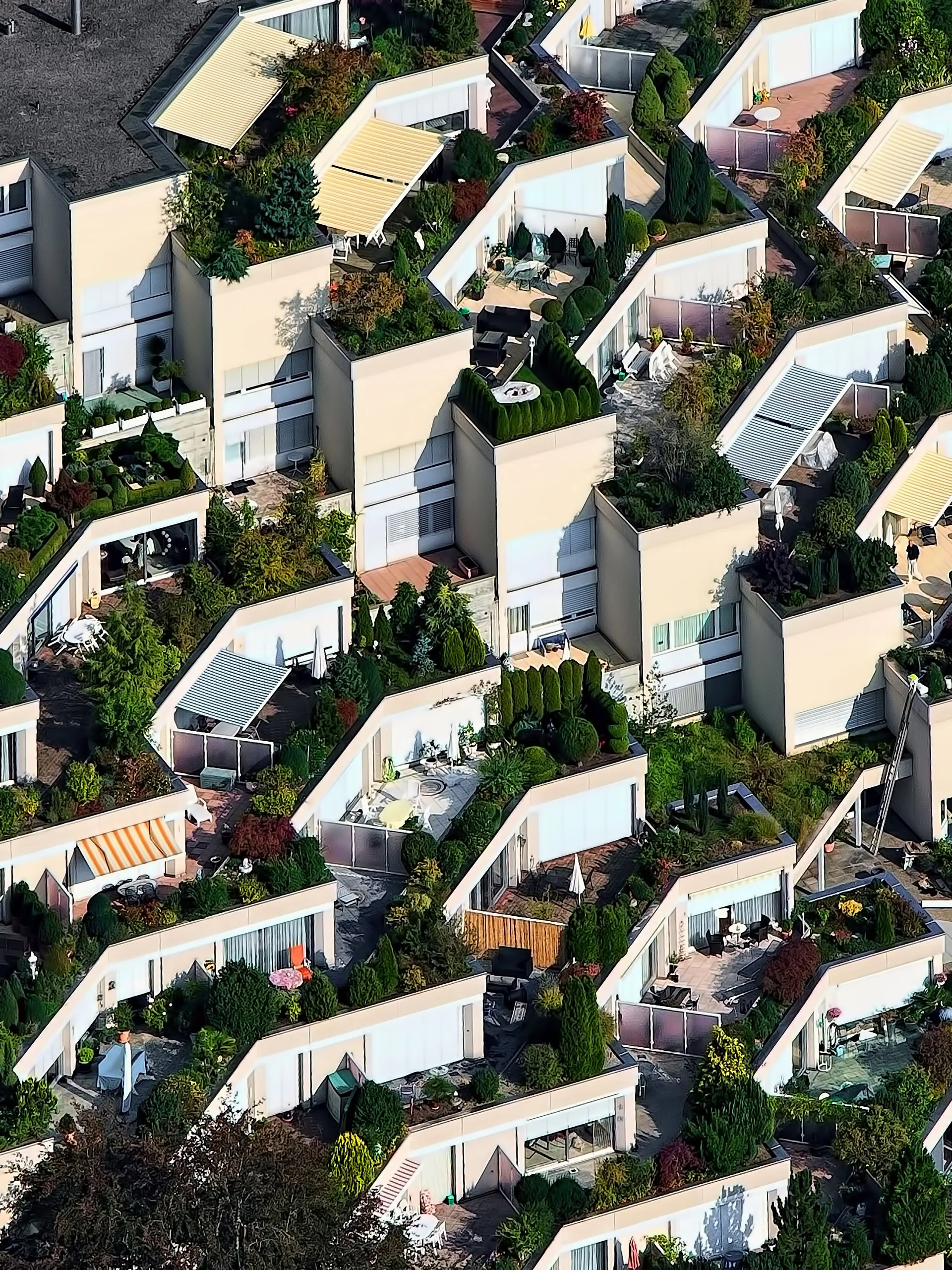 An aerial view of residential blocks side by side.