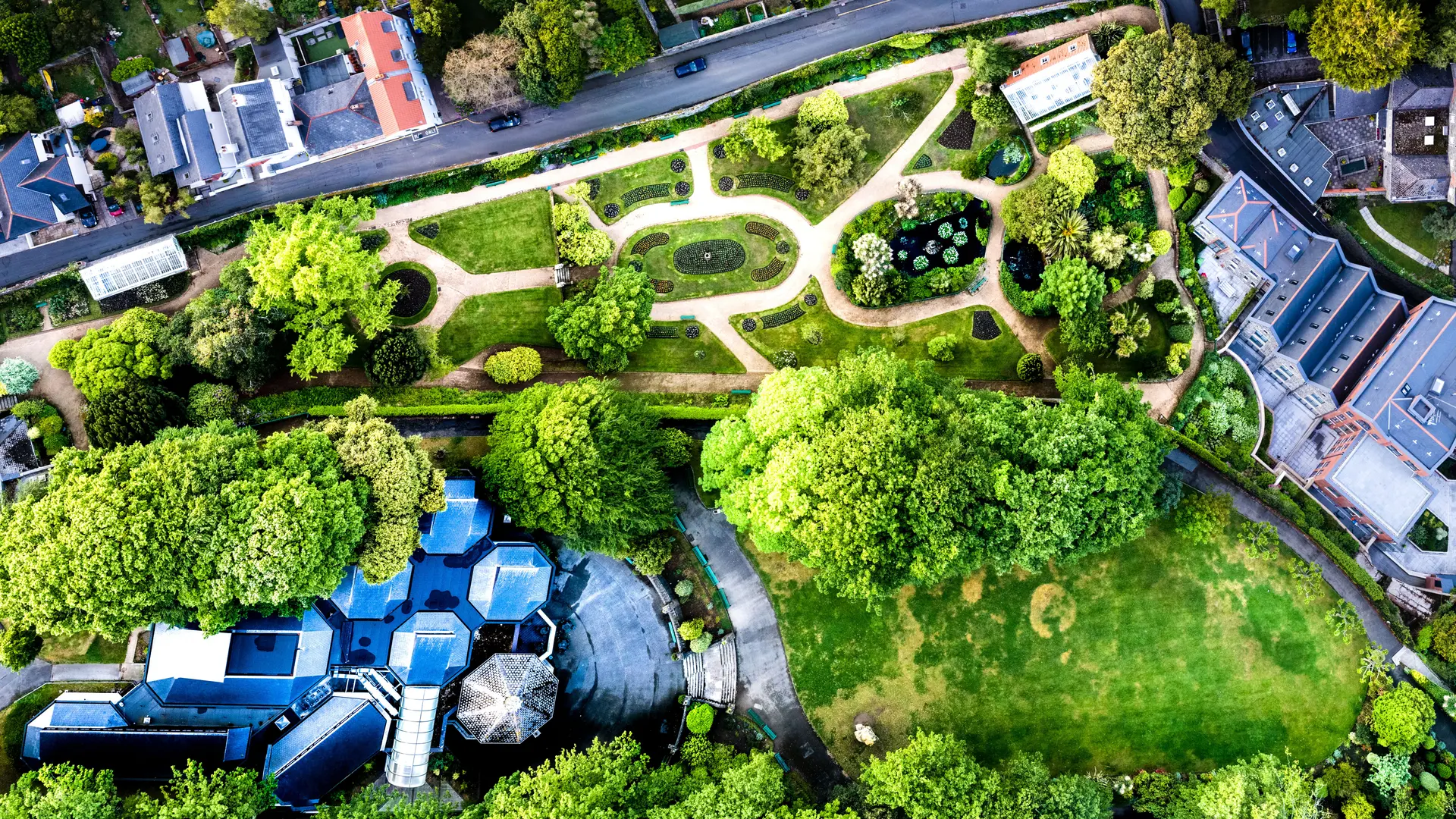 The texture of streets seen from above.
